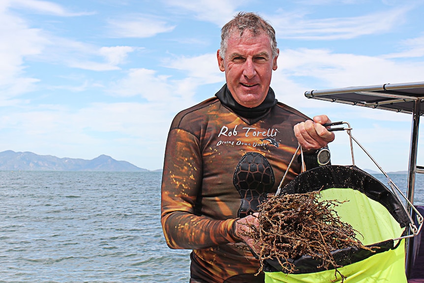 Dr Adam Smith thinks the experimental trial could be a benefit to Australia's reef.