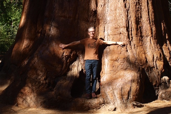 Man stands against trunk of tree that is enormous in breadth with arms spread out.