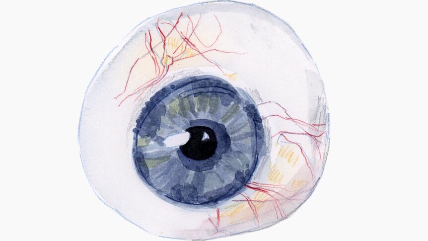 Close up image of a blue artificial eye with veins and discolouration.