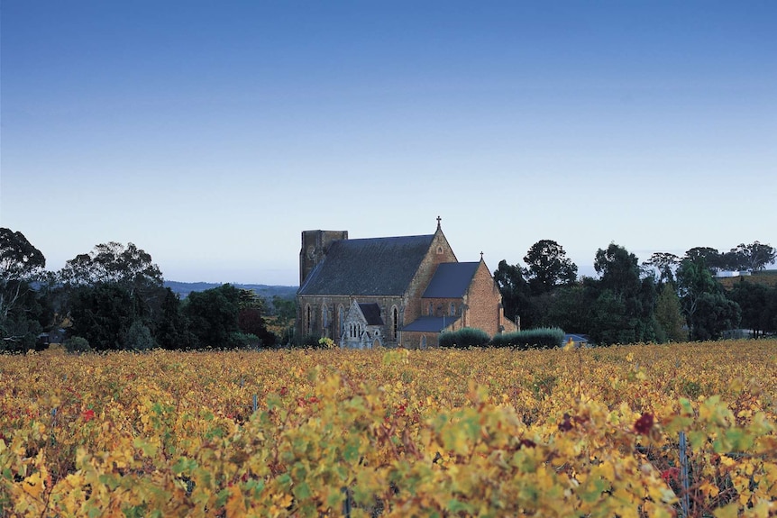 The winery in Autumn