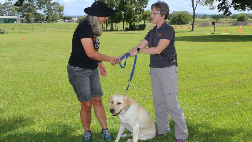 Dog carer Leoni Tooth handing over Doug the golden retriever to Guide Dogs Queensland