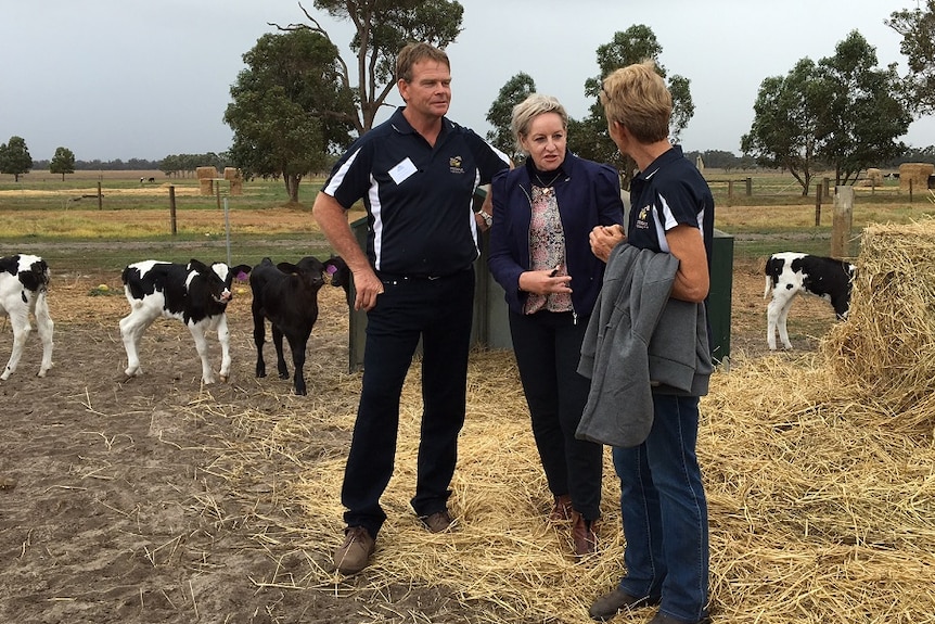 Alannah MacTiernan with dairy farmers Robin and Betty Lammie in Busselton