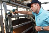 Tony Abbott on cattle station