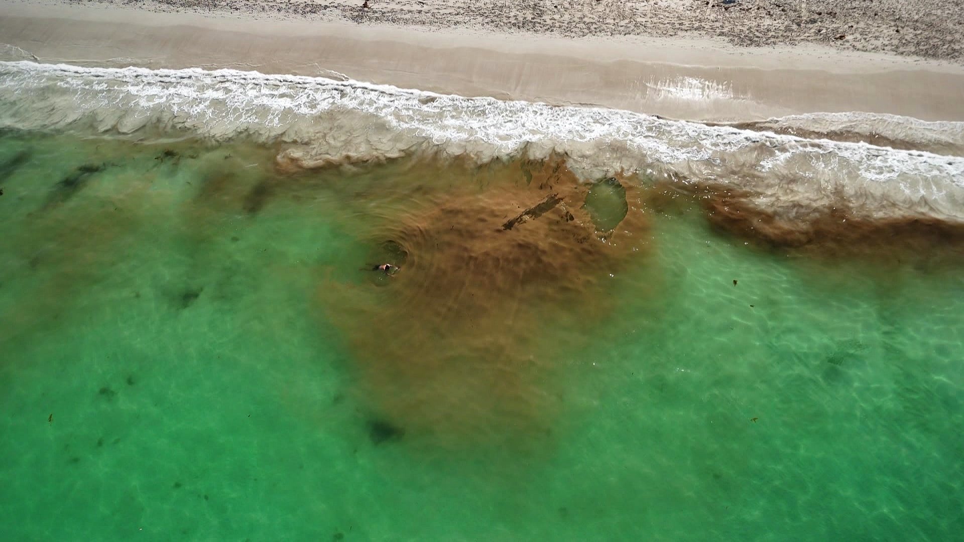 Aerial vision of an algae bloom at a Perth beach