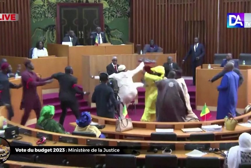 Fighting breaks out in Senegal parliament after male MP slaps female peer