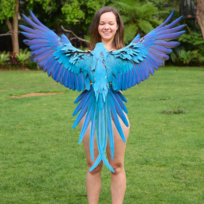 A blue macaw bird in front of a naked zookeeper