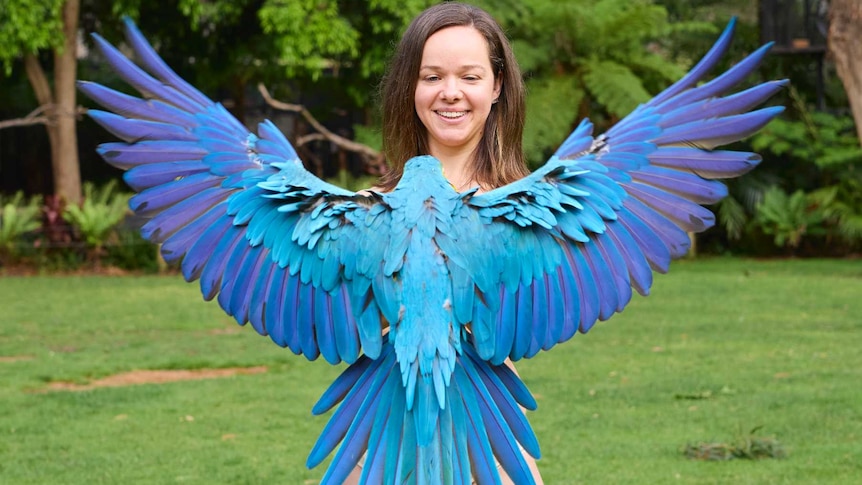 A blue macaw bird in front of a naked zookeeper