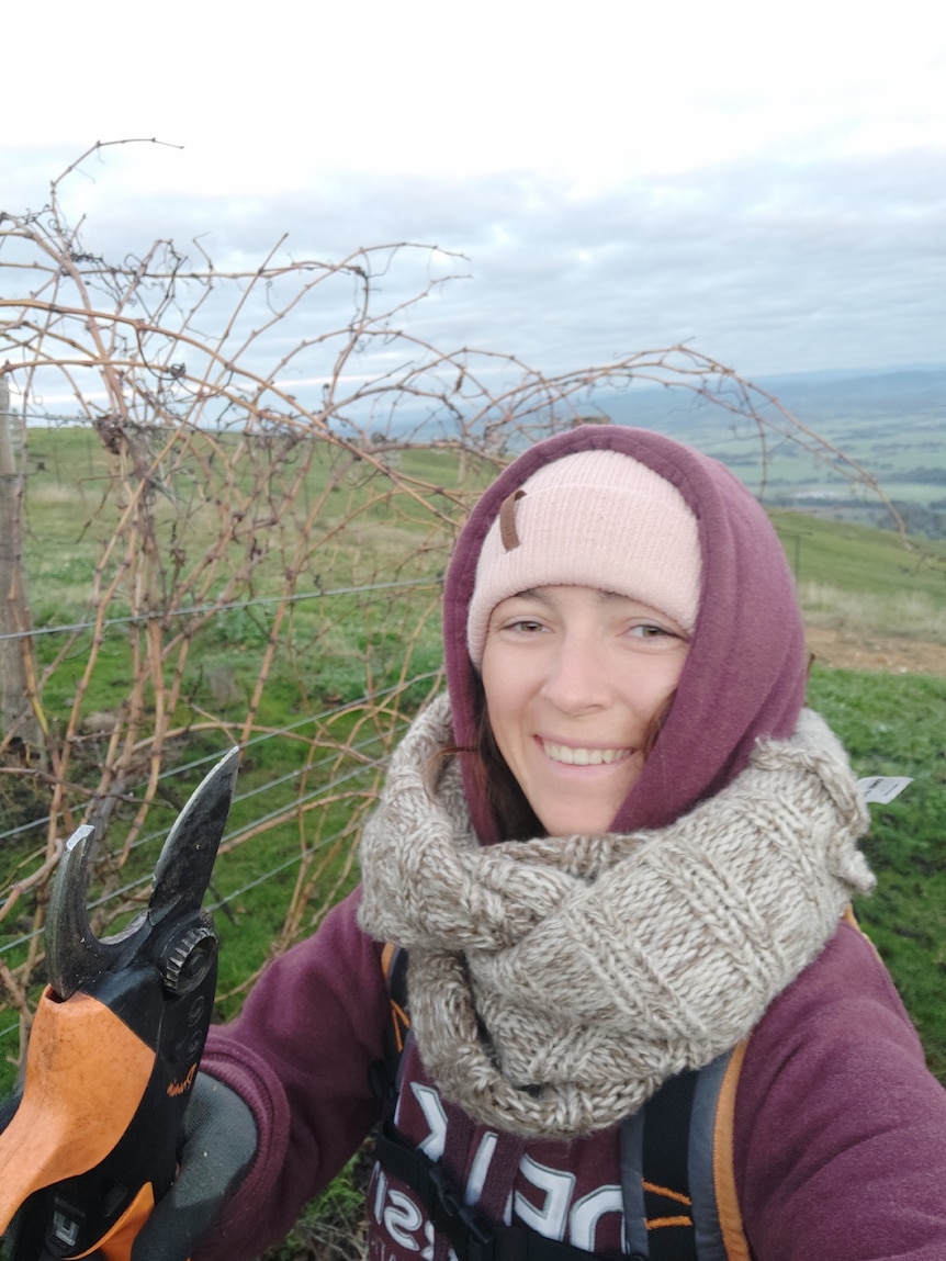 A girl is holding pruning tools ready to cut a vine