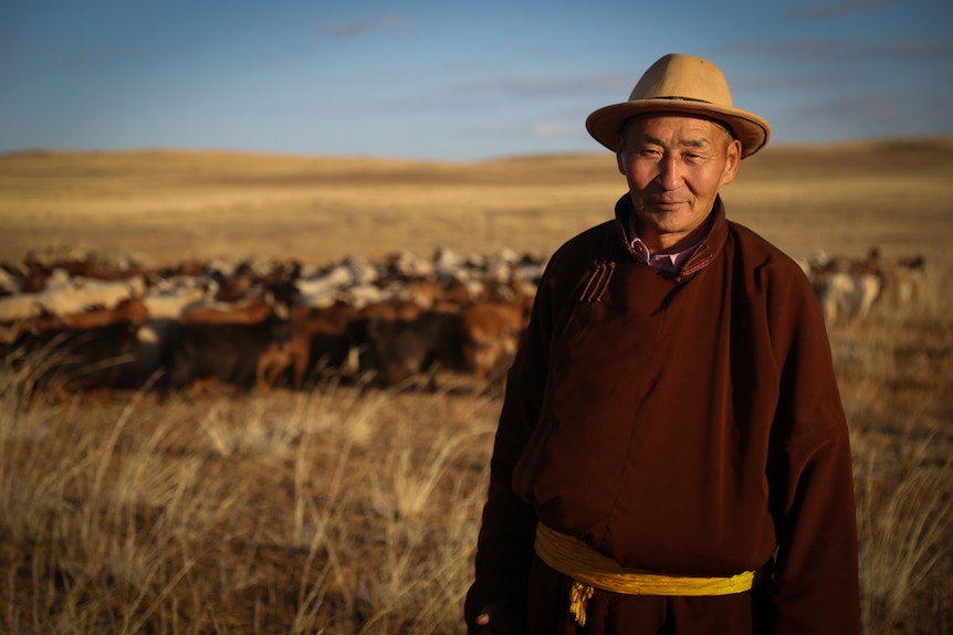 An older man wearing brown robe with yellow belt, and a hat, stands in front of a herd of livestock
