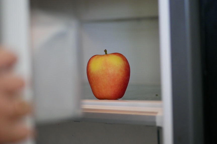 An apple sits in an empty fridge. 