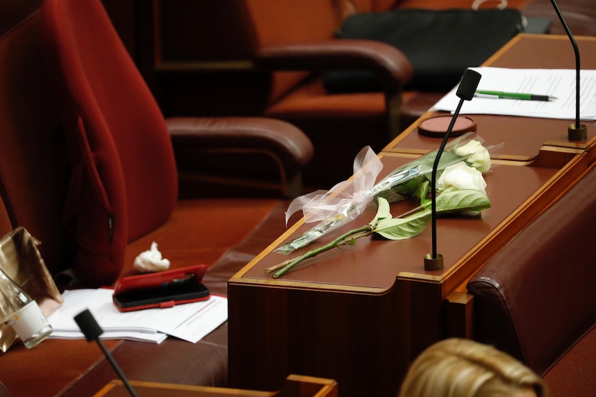 White roses lay on the senate seat and table that used to be Kimberley Kitching's
