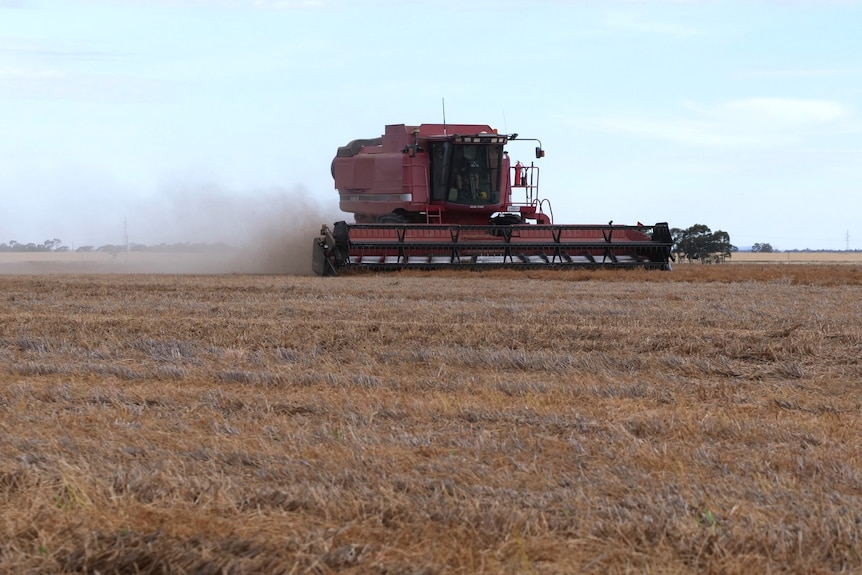 red harvester in a brown field with crop dust trailing behind
