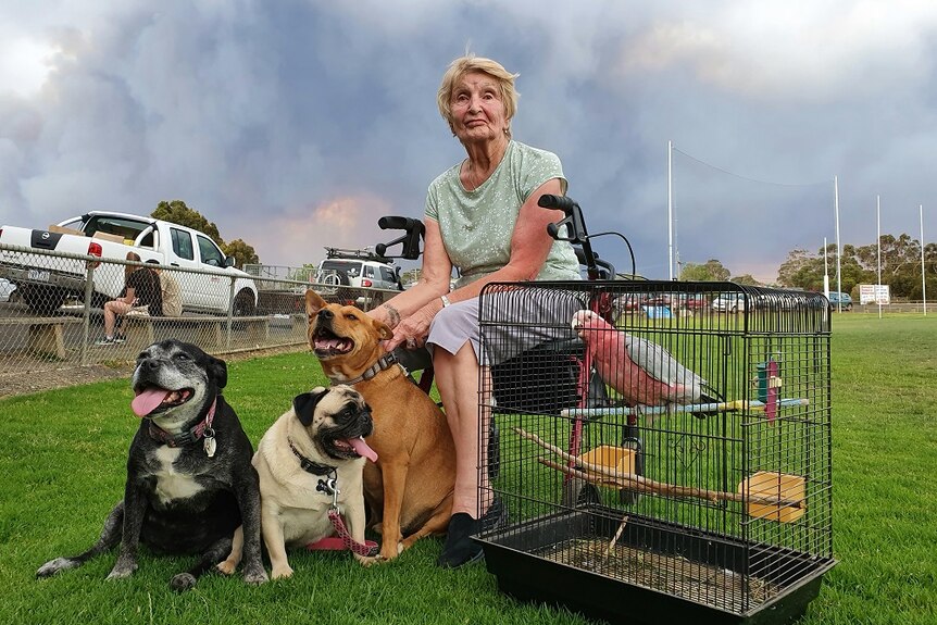 Marian Brandum sits on her walker on a sports oval with her three dogs, and pet bird in a cage.