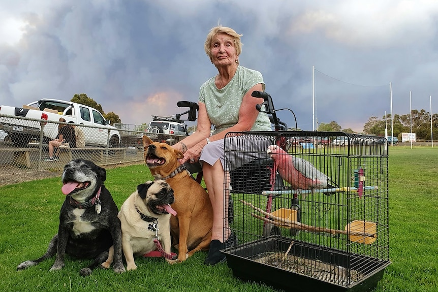 Marian Brandum sits on her walker on a sports oval with her three dogs, and pet bird in a cage.