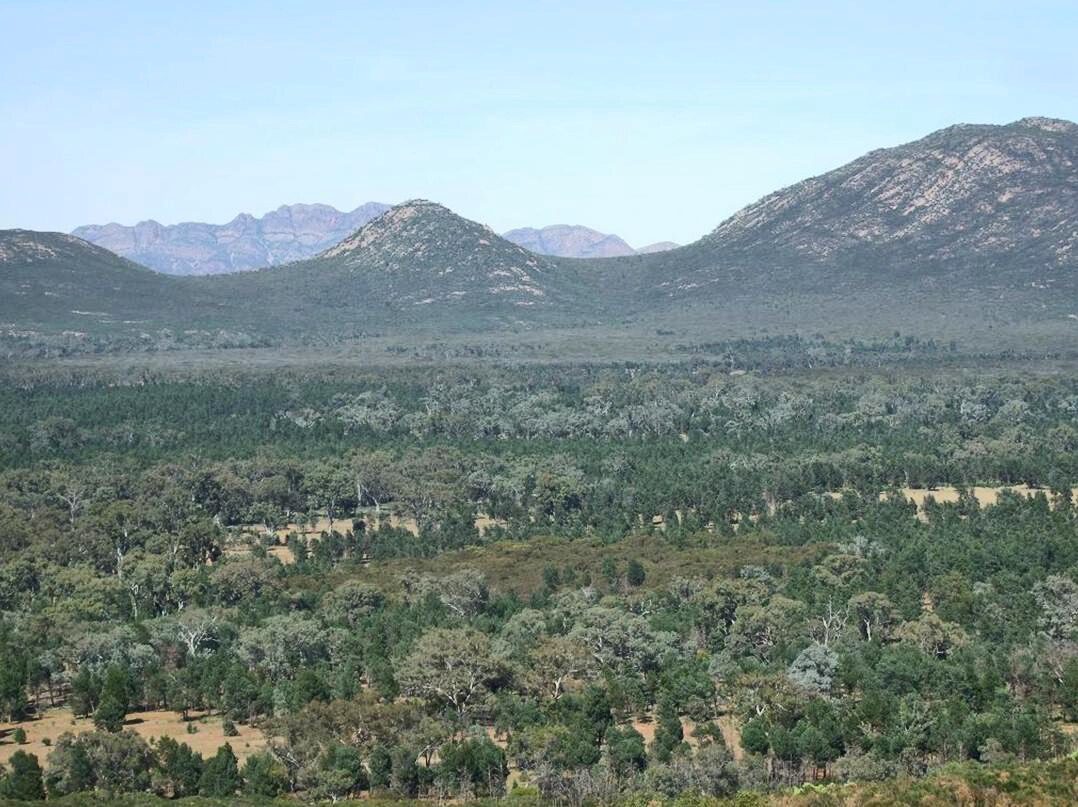 Elderly hiker found after missing overnight in SA's Flinders Ranges ...