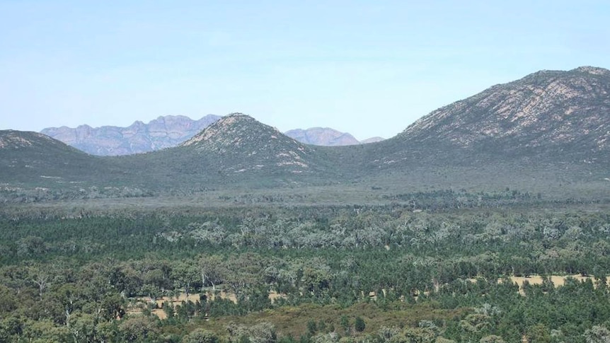 View from the lookout across Wilpena Pound