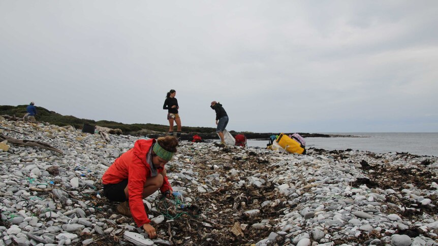 Team Clean on a remote beach in western Tasmania