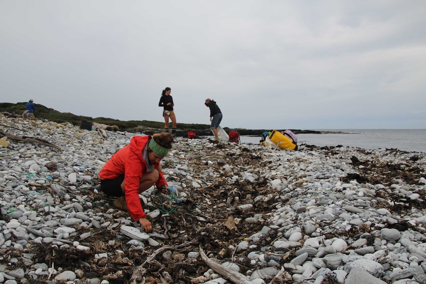 Team Clean on a remote beach in western Tasmania