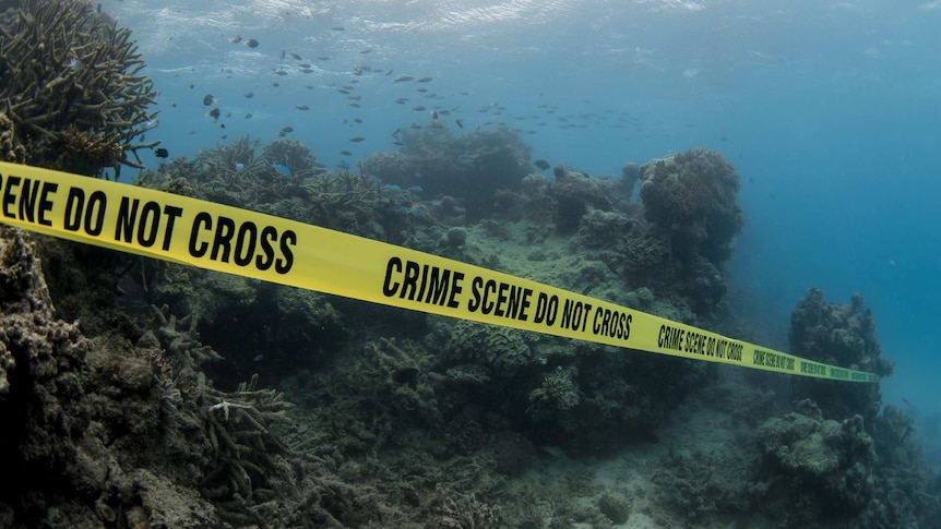 Crime scene tape on Barrier Reef