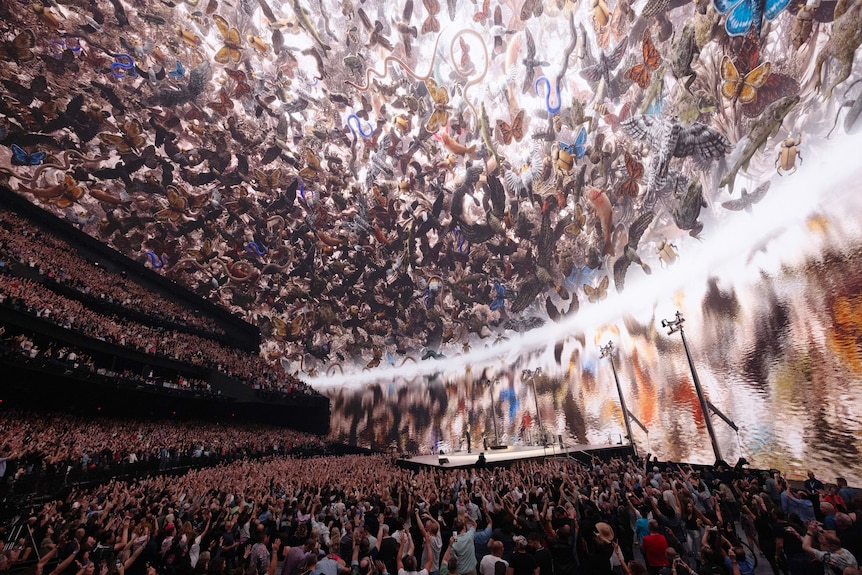 A view of a band playing to a large audience in a venue featuring an audiovisual display showing birds, insects and animals
