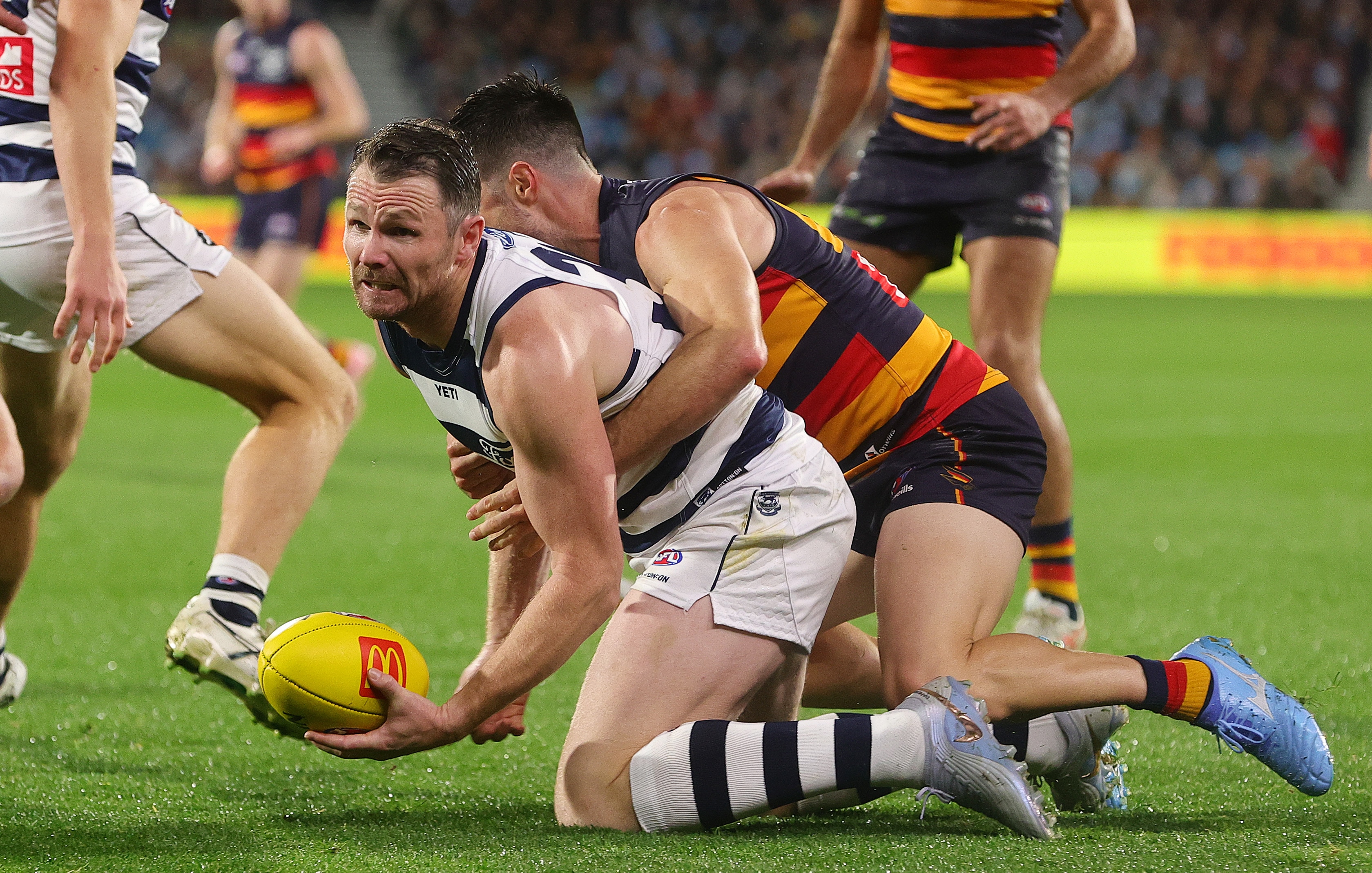 Live: Dangerfield dominates first half as bump lands Cats star in hot water