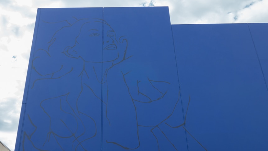 The outline of a woman taking shape a wall on McLaren Parade.