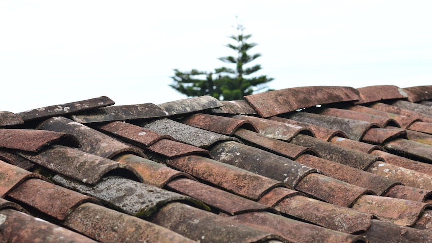 Old roof tiles that look like they've aged