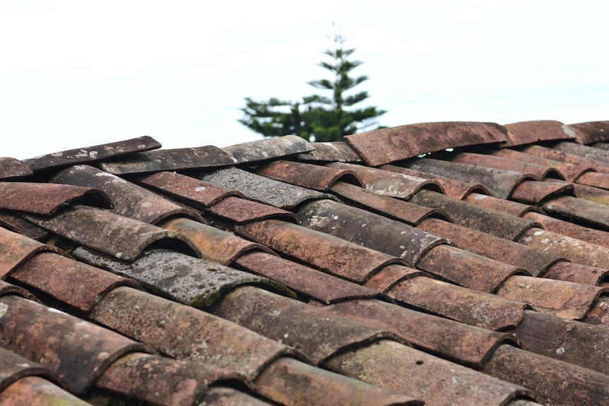 Old roof tiles that look like they've aged
