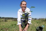 A smiling woman plants seedling