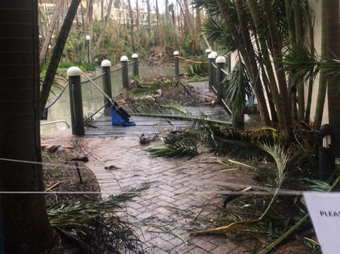 Debris from palm trees covers the ground at Daydream Island resort.