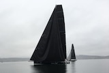 Blackjack edging towards the Hobart finish line with almost no breath of wind.