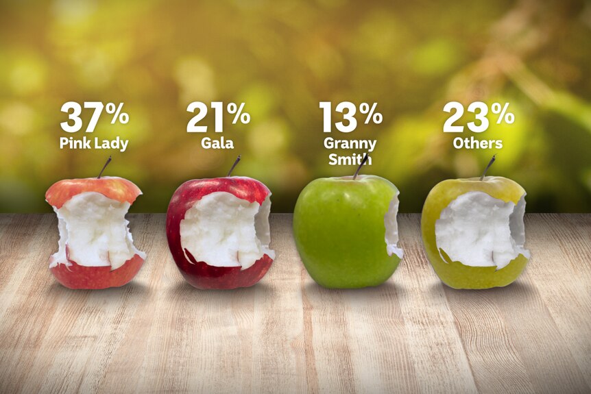 graphic showing apple tastes