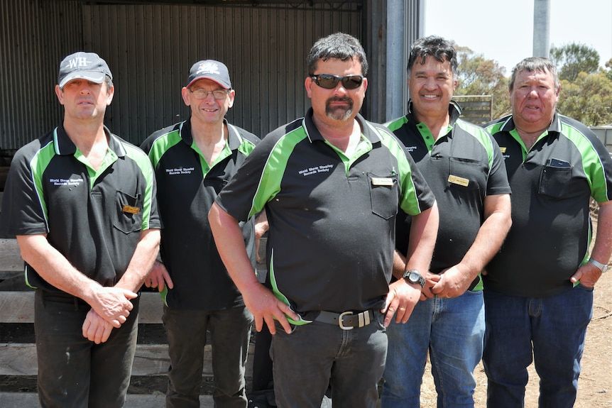 Five men standing by lamb pen.