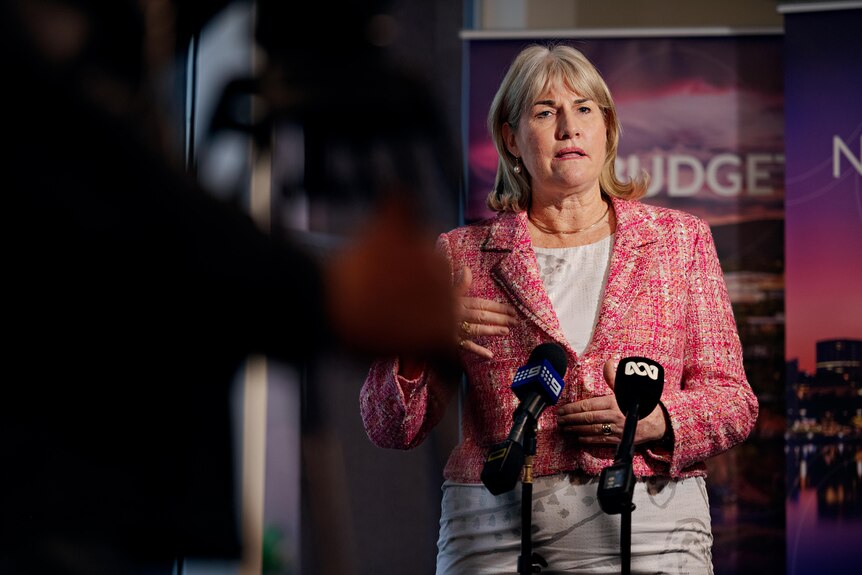 NT Treasurer Eva Lawler standing at a microphone and speaking to cameras inside a room.