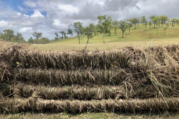 A fence covered with flood debris