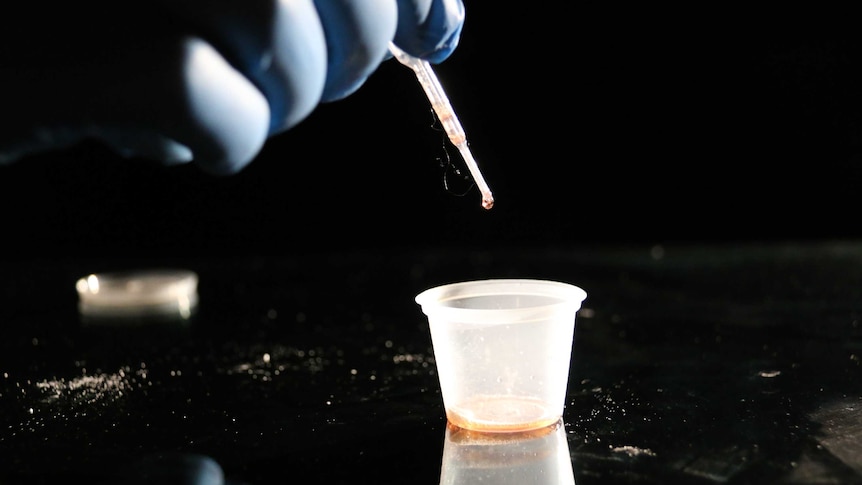 A gloved hand uses a dropper to pull liquid from a container.