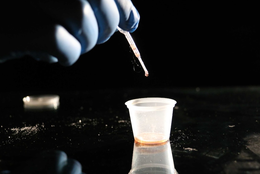 A gloved hand uses a dropper to pull liquid from a container.