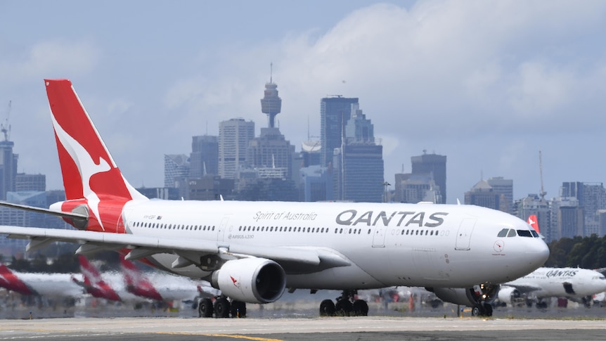 The tail of a Qantas plane is visible through a window at Sydney Airport