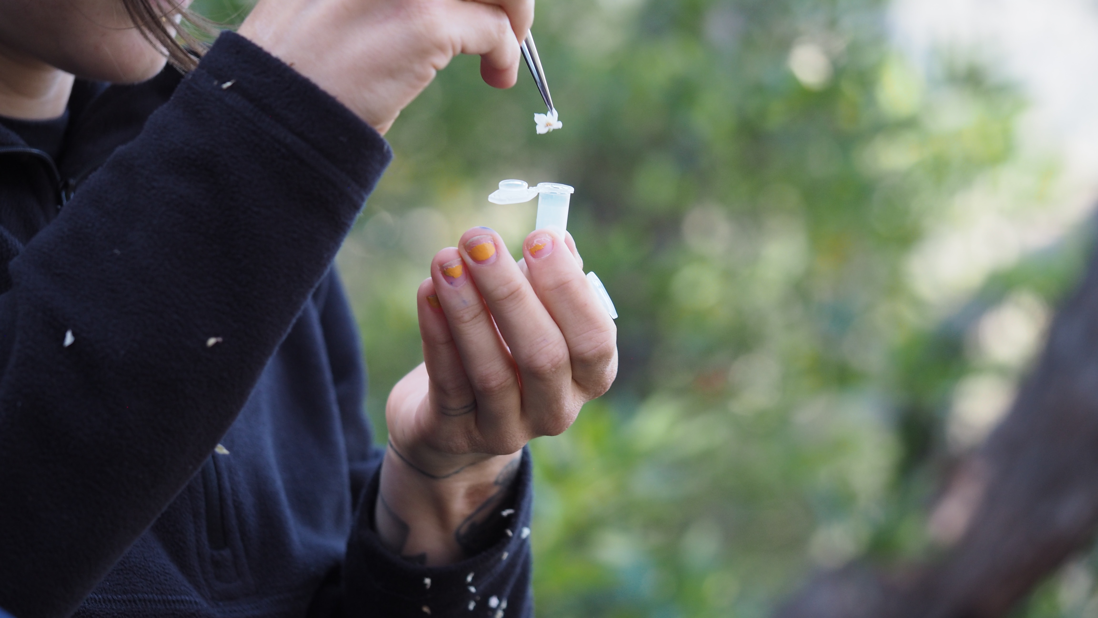 A woman placing a small white flower into a plastic vile. Only her hands and lower face are visible.
