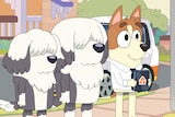A still from Bluey showing two sheepdogs and a jack russell looking at a for sale sign.