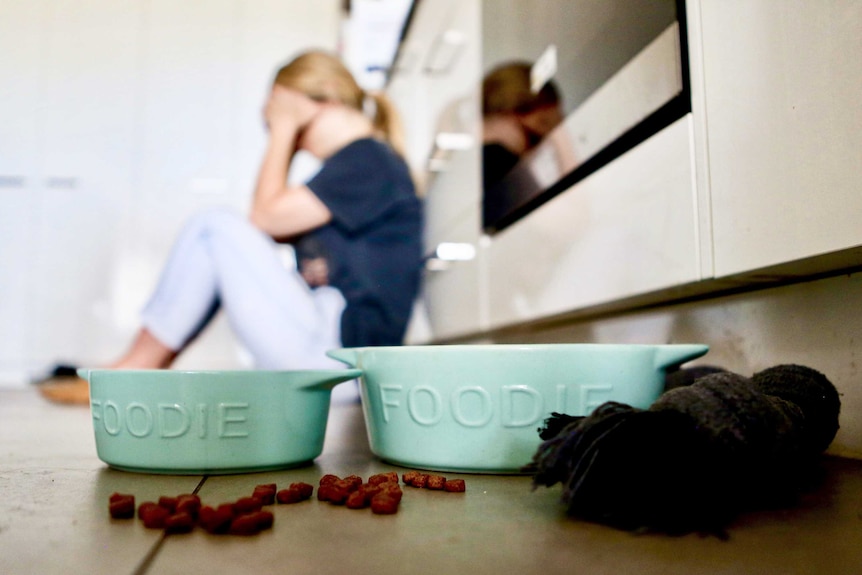 two dog bowls on the floor with a woman in the background.