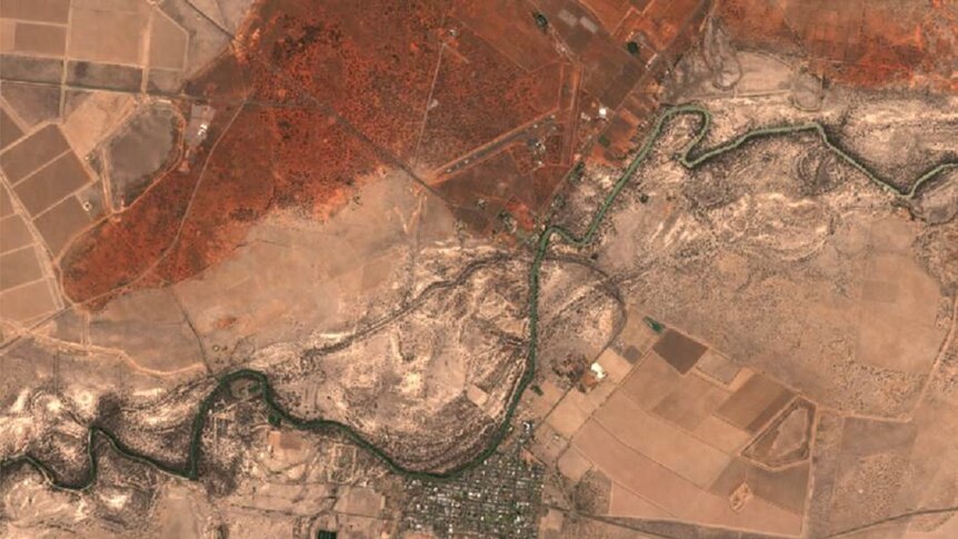 Satellite image of paddocks in Bourke, NSW, with river running through the middle