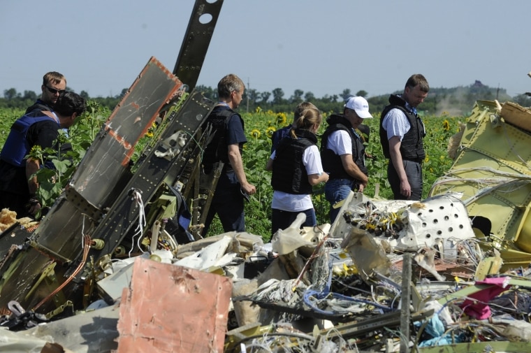 Members of the OSCE look on at the remains of the MH17 crash site