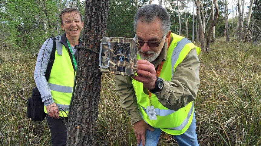 Stewart Nicol and Kirsten Leggett tracking echidnas