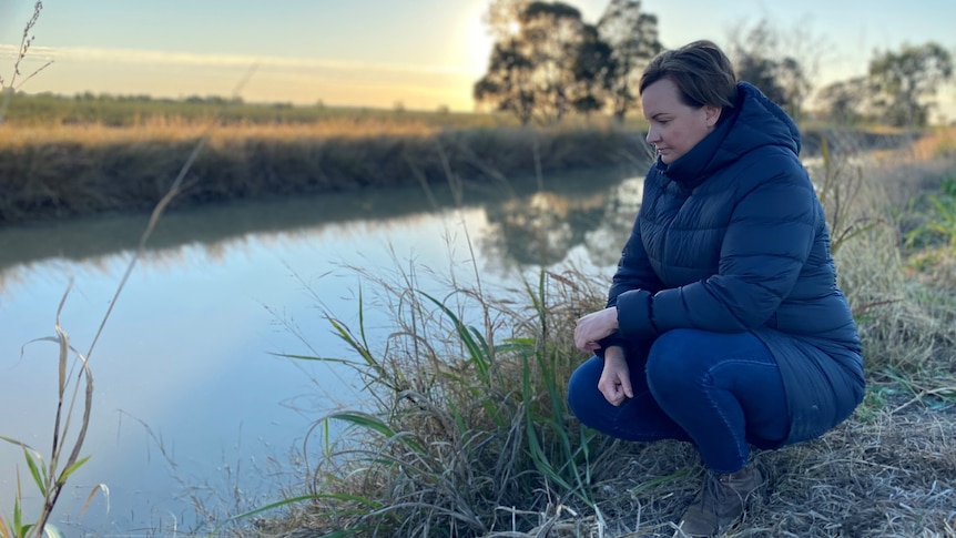 Emerald-based cotton grower Renee Anderson squats next to a body of water.