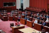 Coalition and Greens senators voting together 