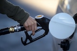 A hand holding a fuel nozzle putting fuell in a white car