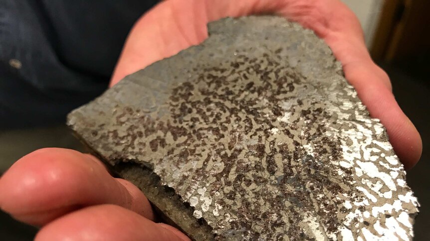 The meteorite has branching crystals of metal inside.