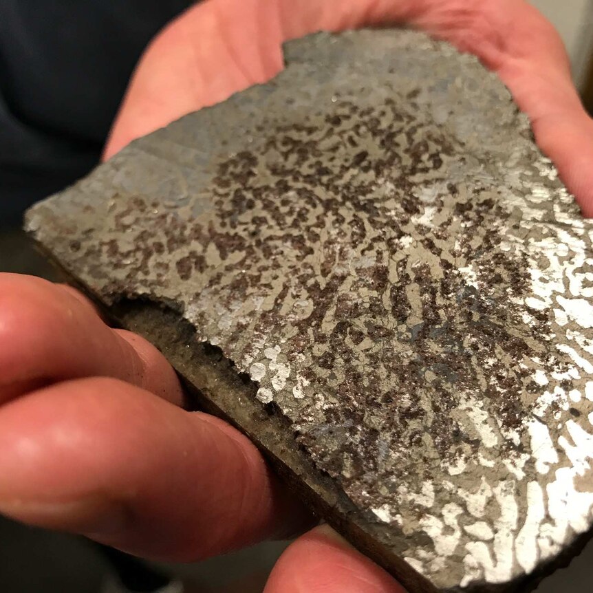 The meteorite has branching crystals of metal inside.