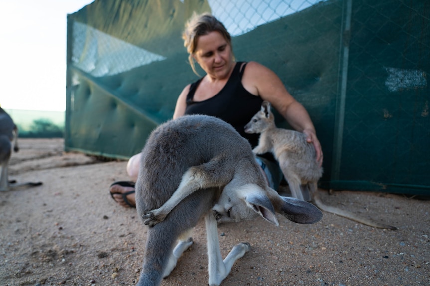 Woman sits of the ground and pats a small roo.